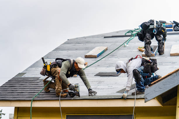 Professional Storm Damage Roof Repair technician working in Albion, IA